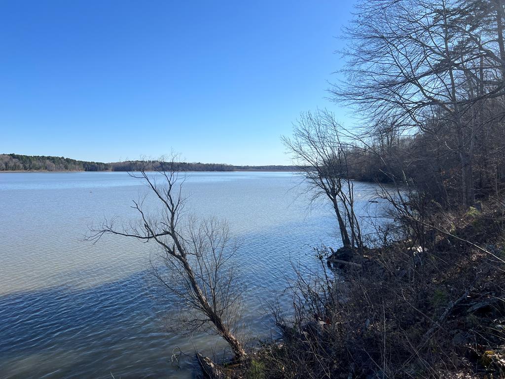 921 Riverview Avenue Property Photo