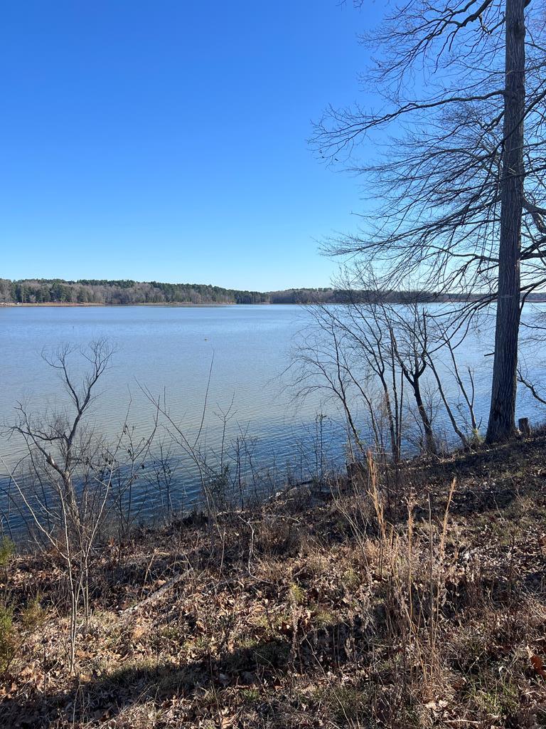 921 Riverview Avenue Property Photo 3