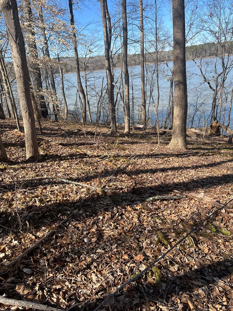 921 Riverview Avenue Property Photo 8
