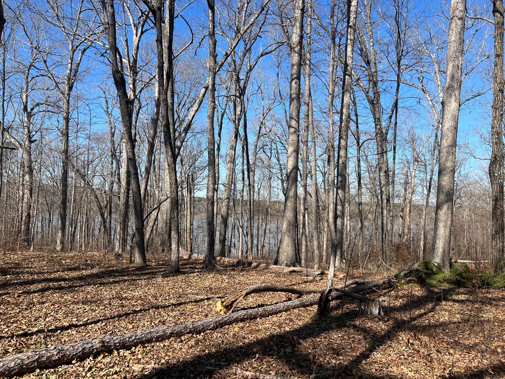 921 Riverview Avenue Property Photo 9