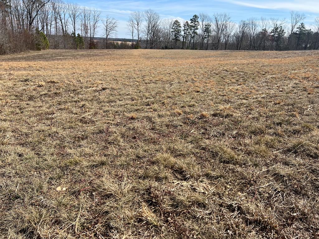 3.91 Ac Calvary Road Property Photo