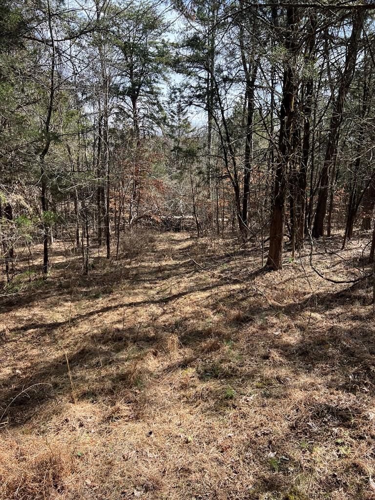 37 Ac Hudson Drive Property Photo