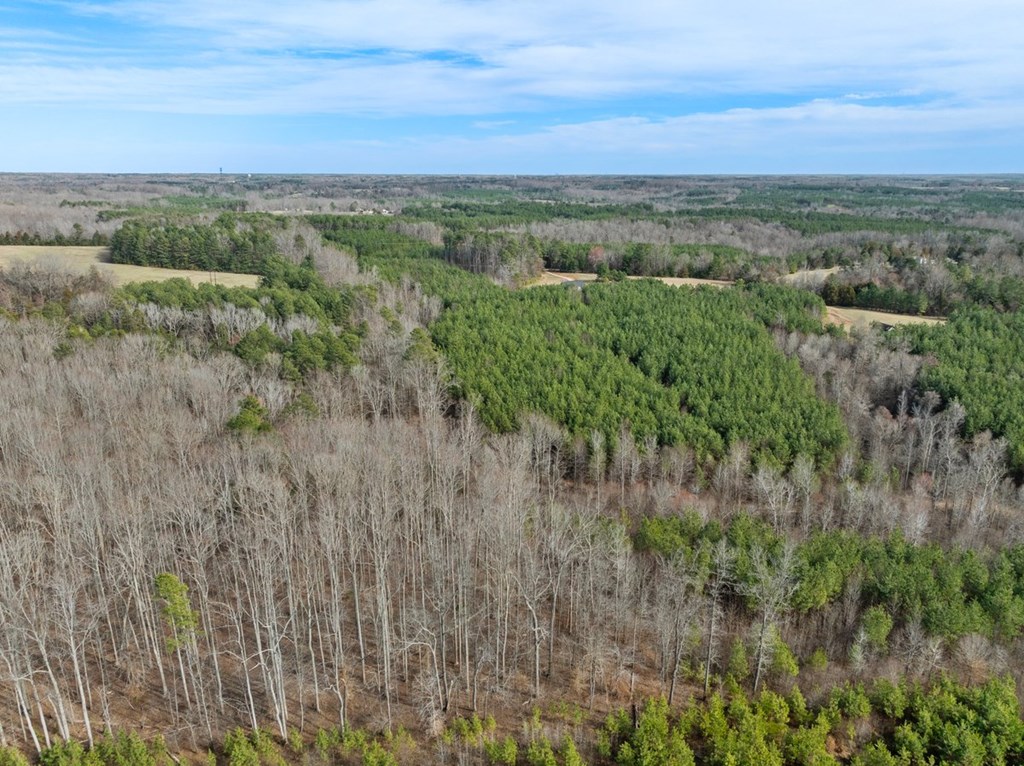 The Grove Road Property Photo 6