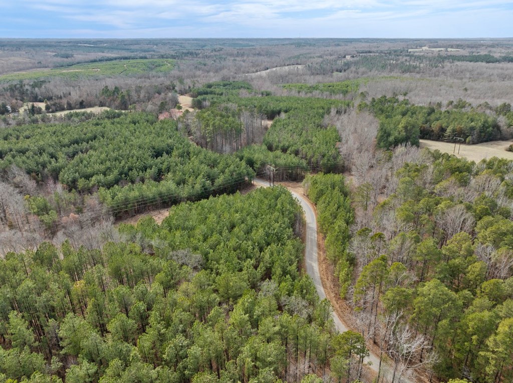 The Grove Road Property Photo 8