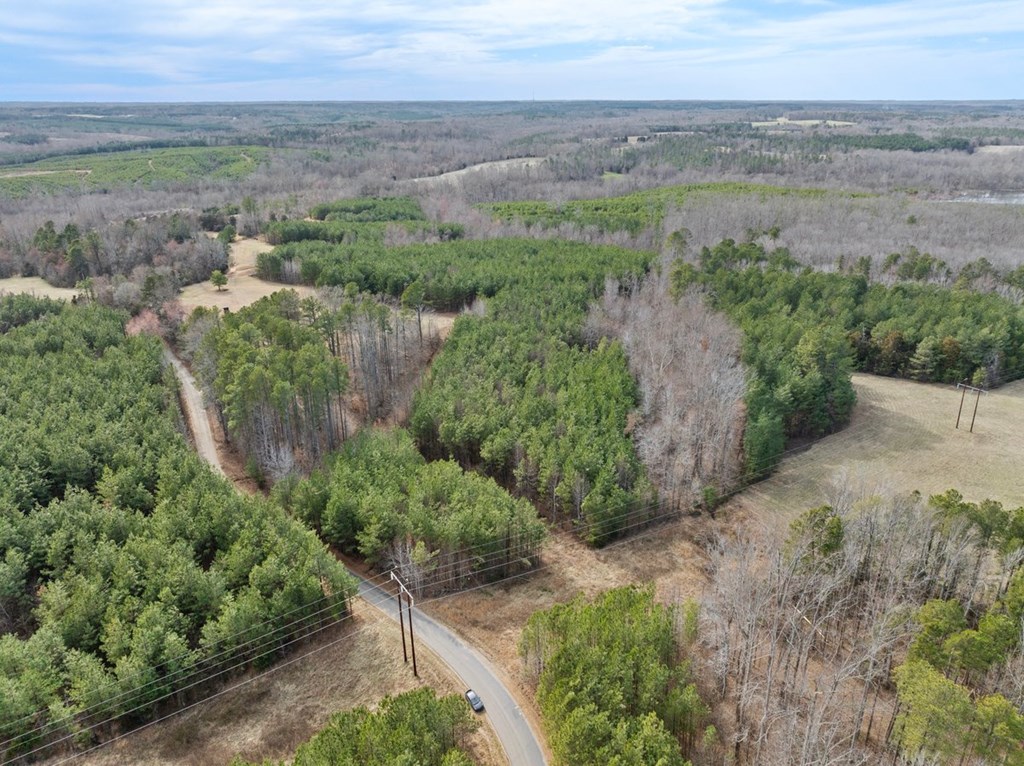 The Grove Road Property Photo 9