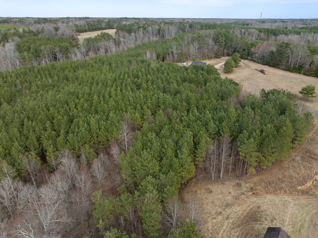 The Grove Road Property Photo 14