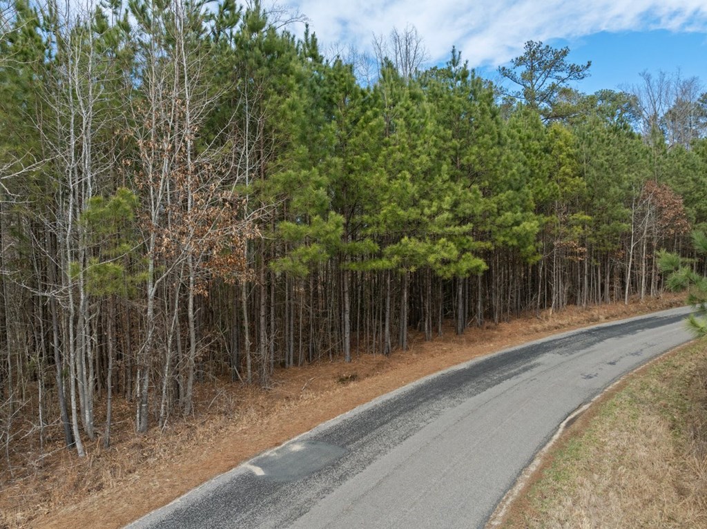 The Grove Road Property Photo 15
