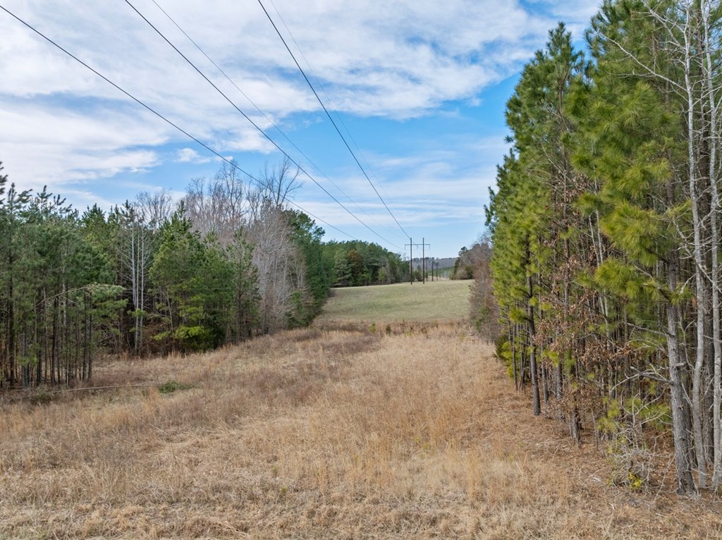 The Grove Road Property Photo 16