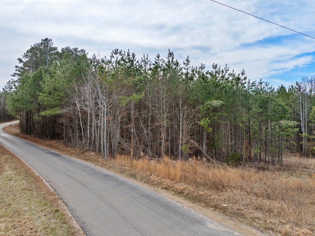 The Grove Road Property Photo 17