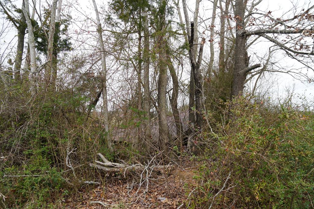 1225 Tobacco Road Property Photo