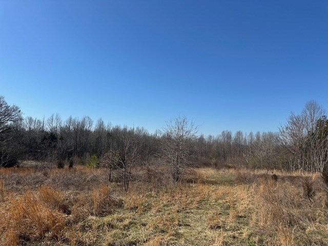 857 Robin Road Property Photo 3