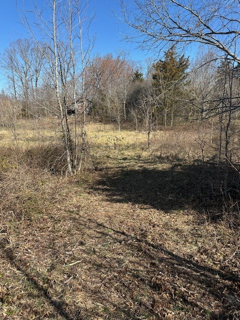 857 Robin Road Property Photo 6