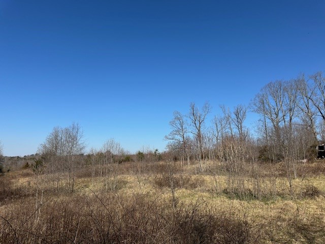 857 Robin Road Property Photo 7