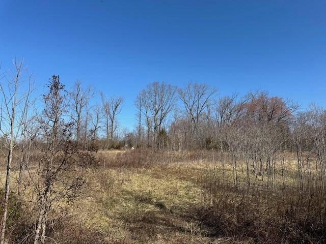 857 Robin Road Property Photo 8