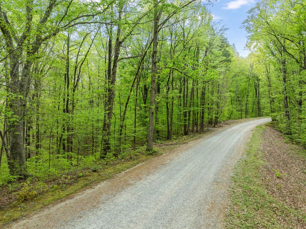 Roanoke Drive Property Photo 1