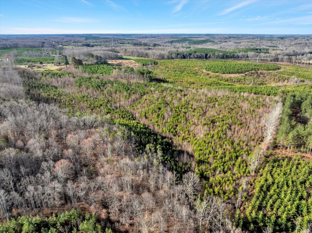 13464 Patrick Henry Highway Property Photo 20