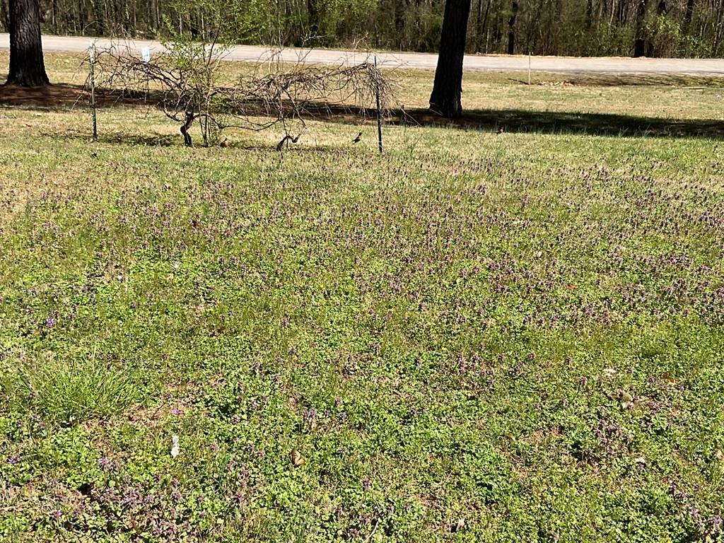23924 Real Estate Listings Main Image