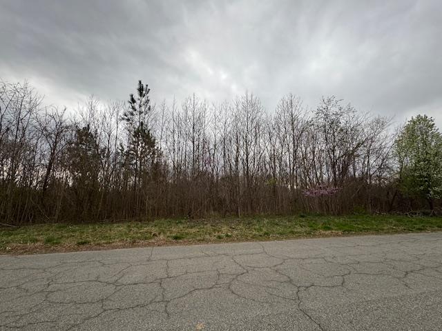 Halifax County High Real Estate Listings Main Image
