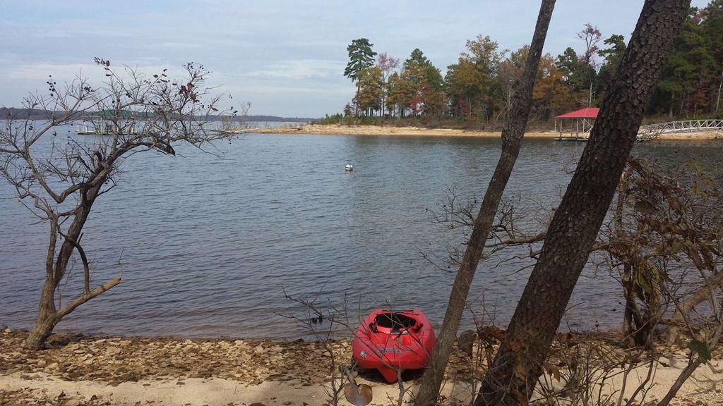 Epps Fork Road Property Photo 2