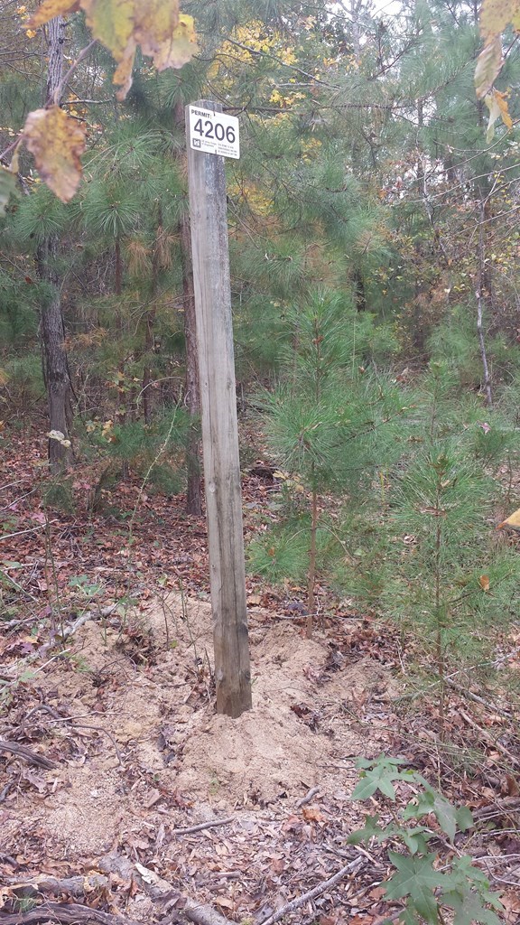 Epps Fork Road Property Photo 3