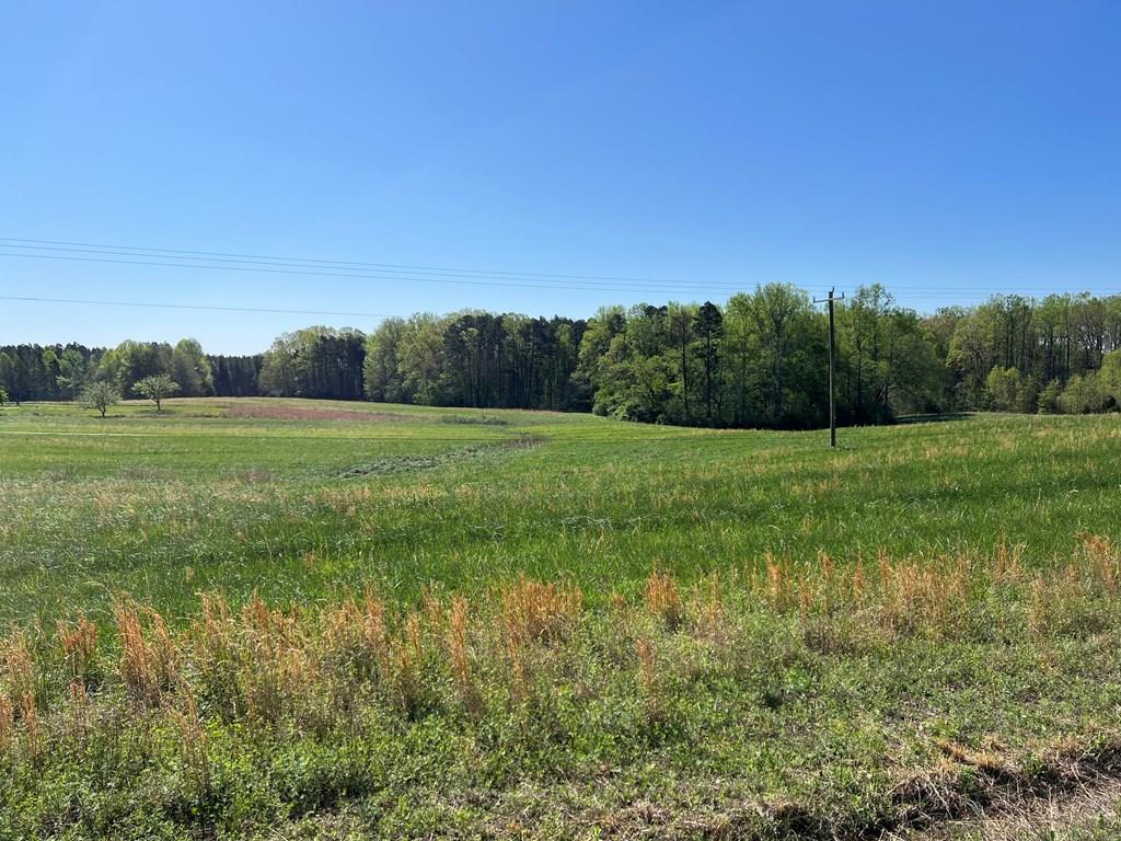 153 Ac Mount Carmel Road Property Photo