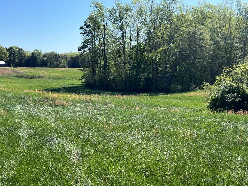 153 Ac Mount Carmel Road Property Photo 2