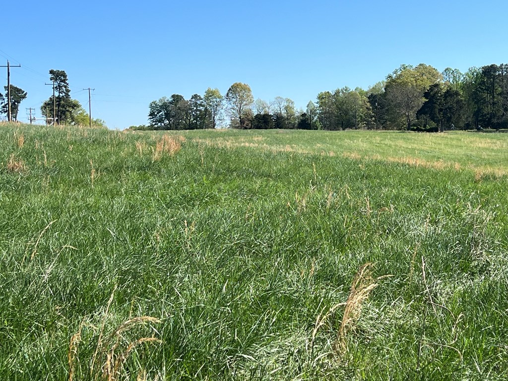 153 Ac Mount Carmel Road Property Photo 3
