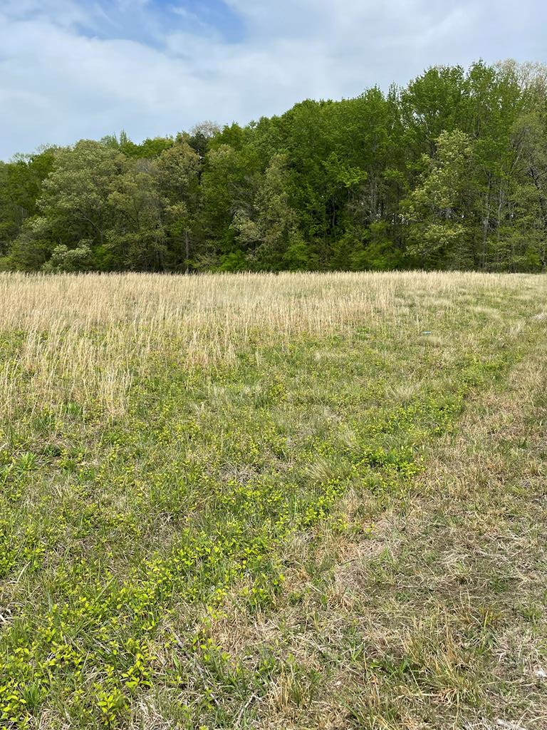 0 Snow Hill Road Property Photo