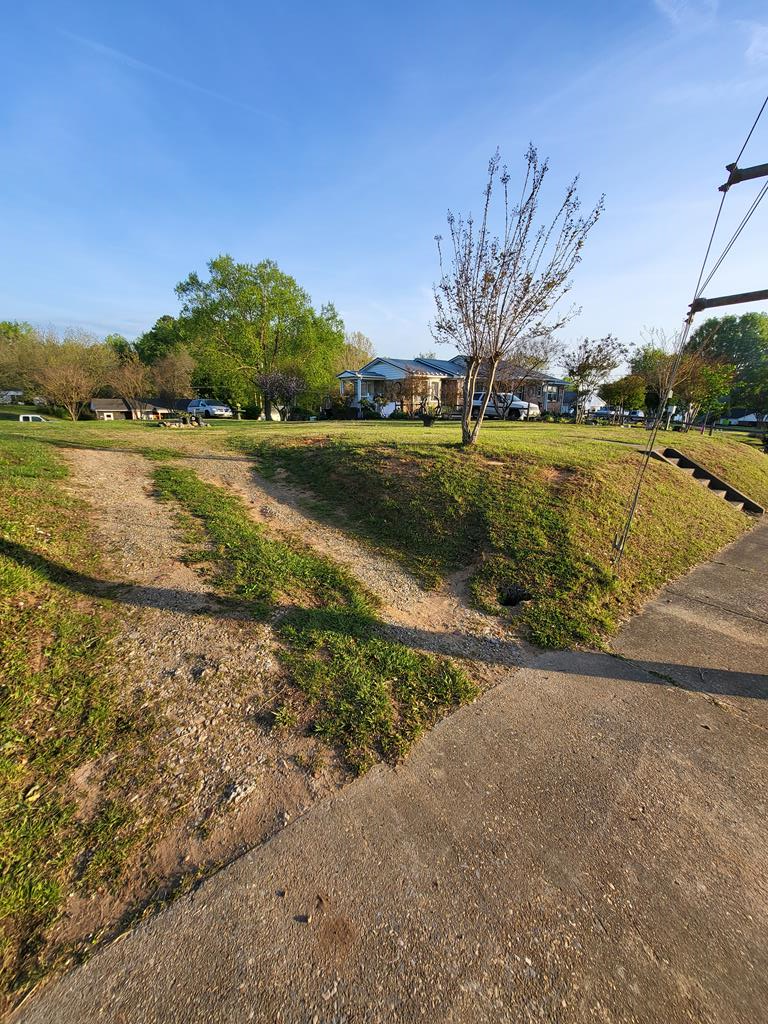Hedderly Street Property Photo