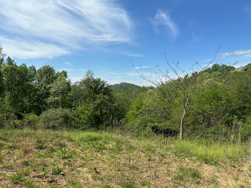 12 Acs Gidsville Road Property Photo 2