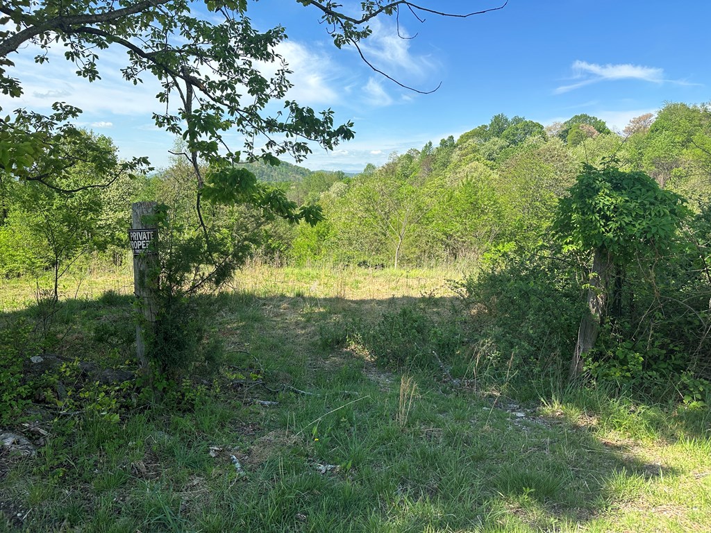 12 Acs Gidsville Road Property Photo 3