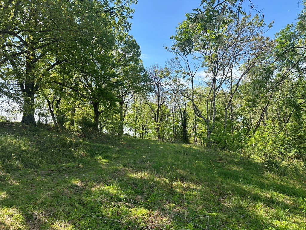 12 Acs Gidsville Road Property Photo 8