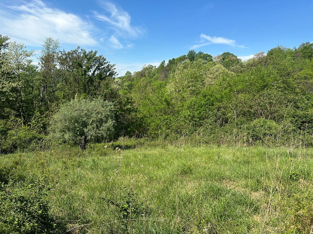 12 Acs Gidsville Road Property Photo 10