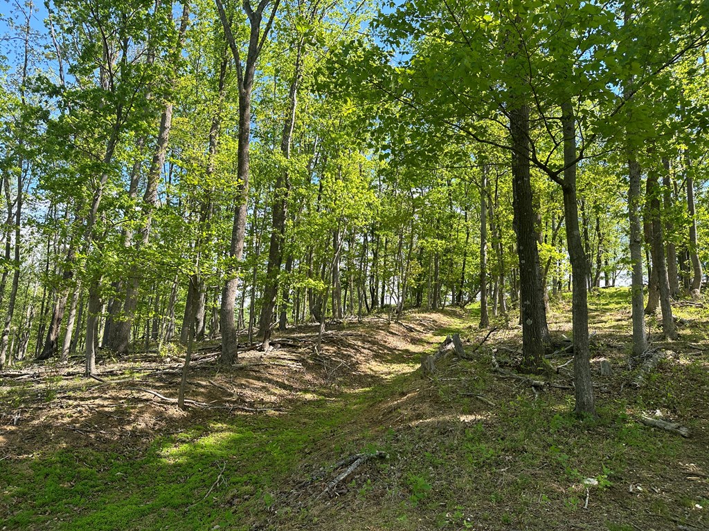 12 Acs Gidsville Road Property Photo 12