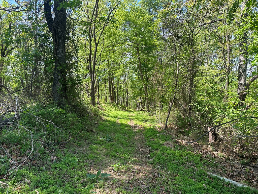 12 Acs Gidsville Road Property Photo 13