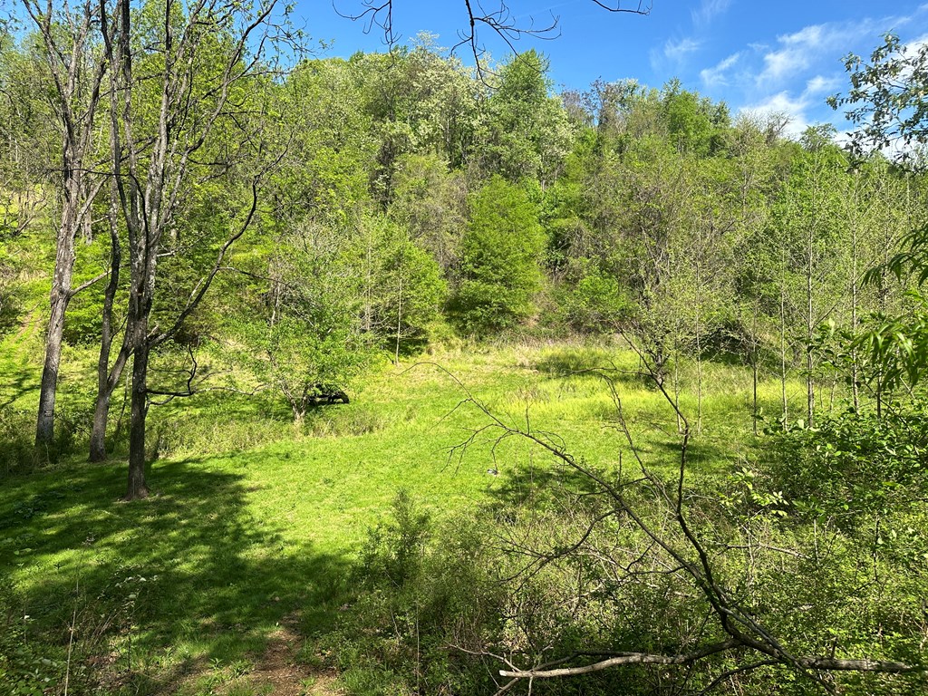12 Acs Gidsville Road Property Photo 14