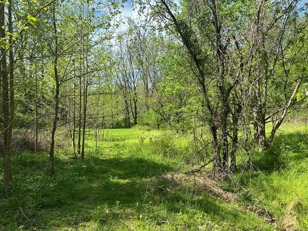 12 Acs Gidsville Road Property Photo 15
