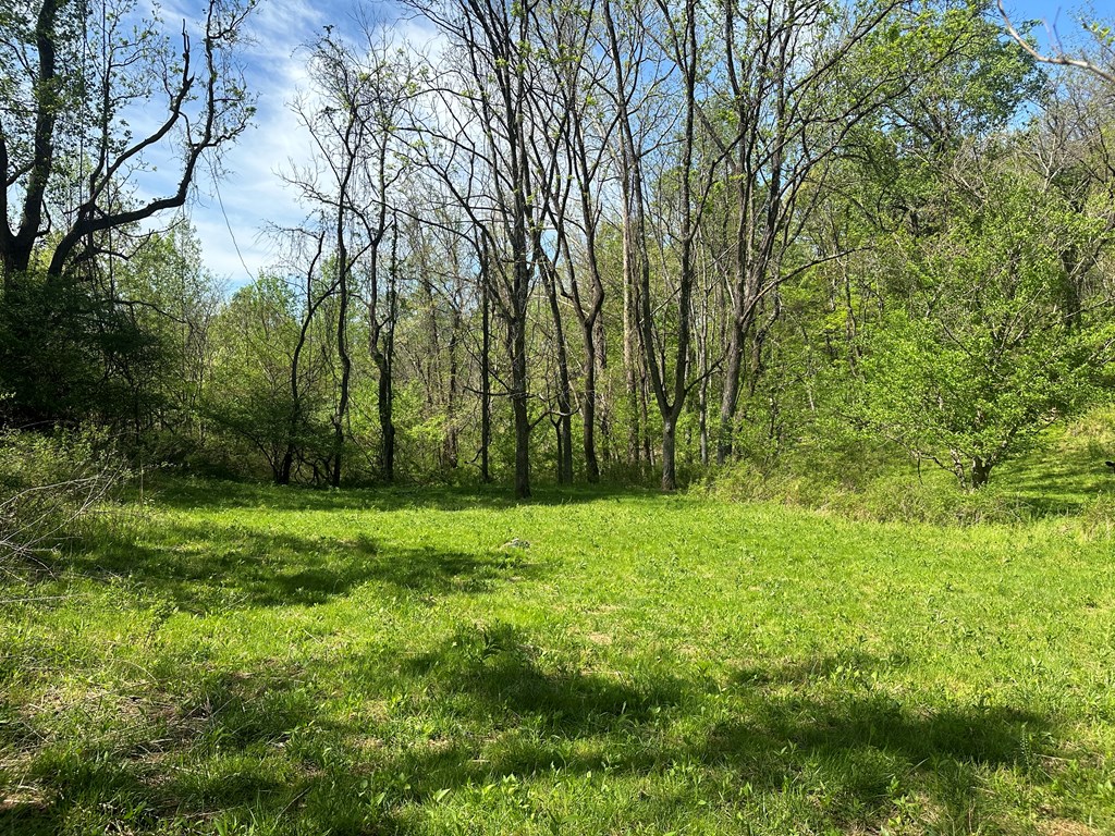 12 Acs Gidsville Road Property Photo 16
