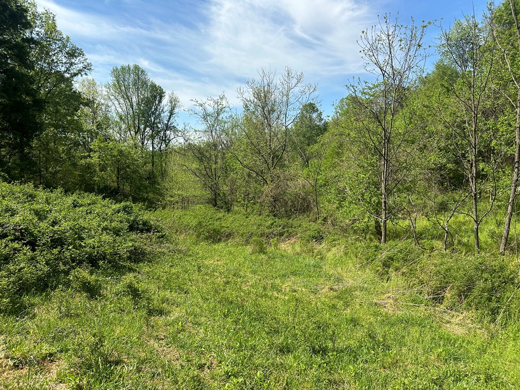 12 Acs Gidsville Road Property Photo 18