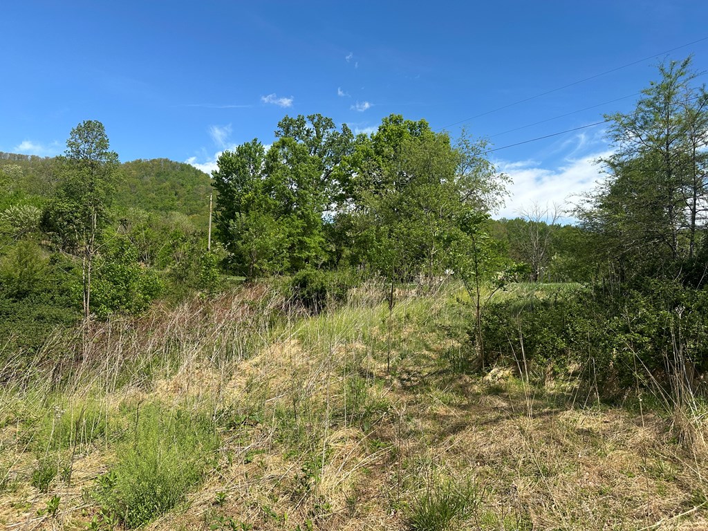 12 Acs Gidsville Road Property Photo 19