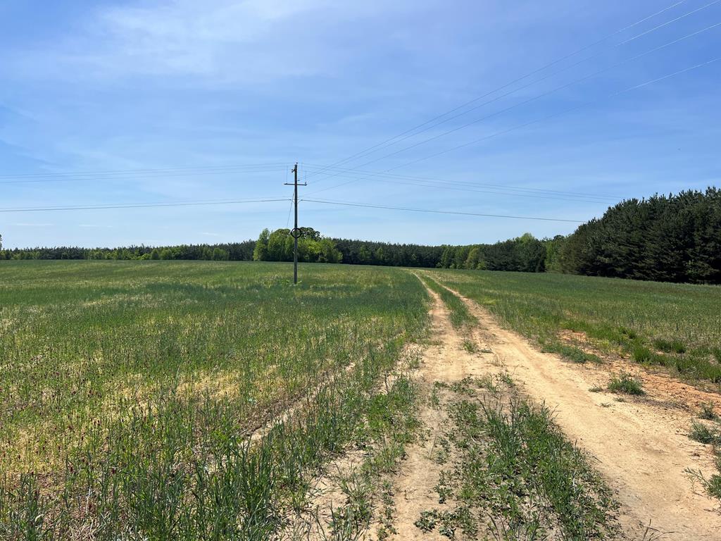 60.55 Ac Cody Road Property Photo