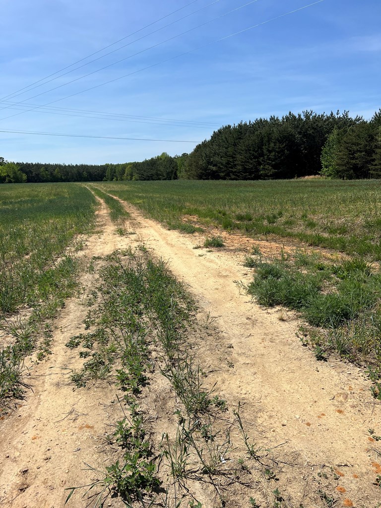 60.55 Ac Cody Road Property Photo 2