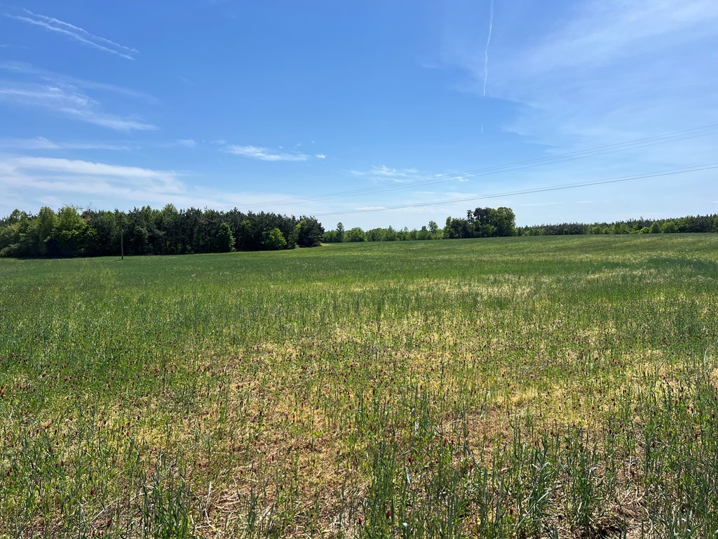 60.55 Ac Cody Road Property Photo 3