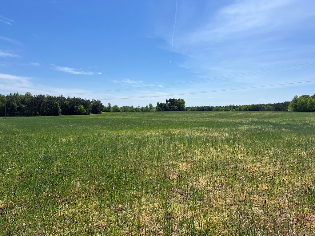 60.55 Ac Cody Road Property Photo 4