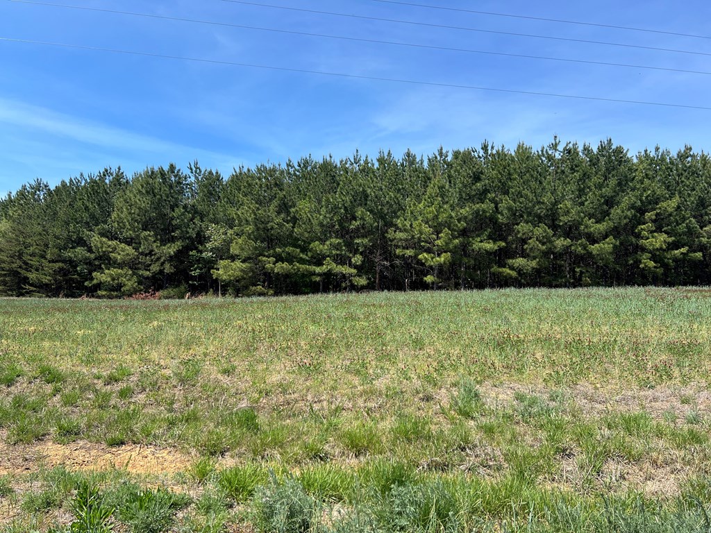 60.55 Ac Cody Road Property Photo 5