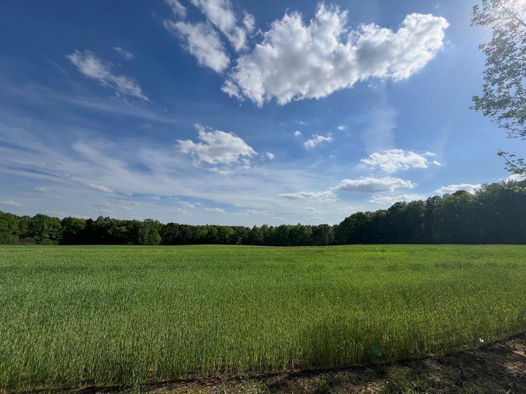 8.43 Ac Snow Hill Road Property Photo