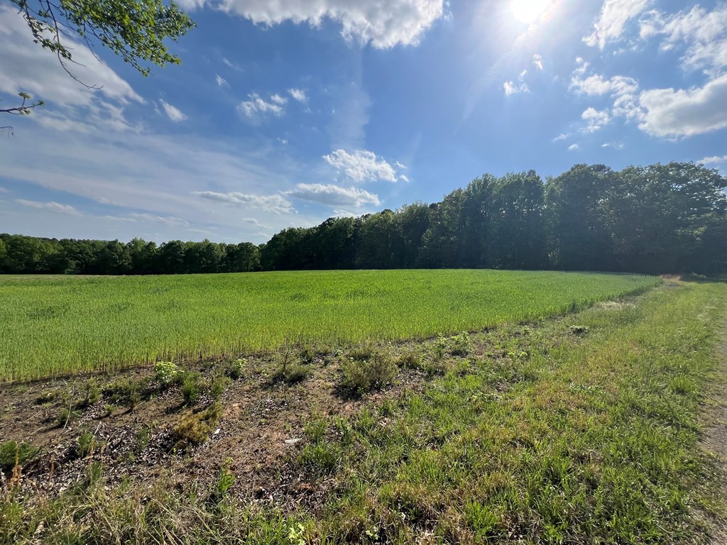 8.43 Ac Snow Hill Road Property Photo 2
