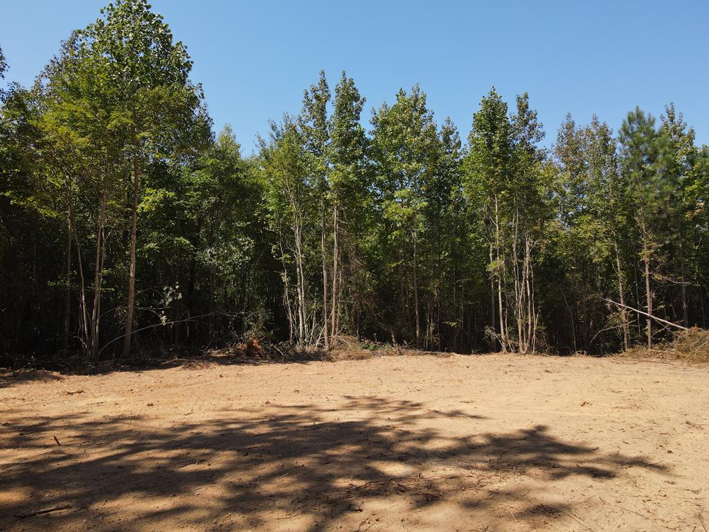 71039 Property Photo 4