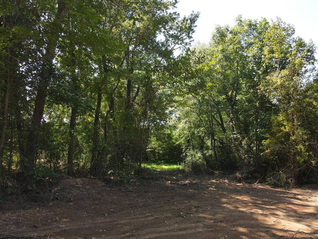 71039 Property Photo 5