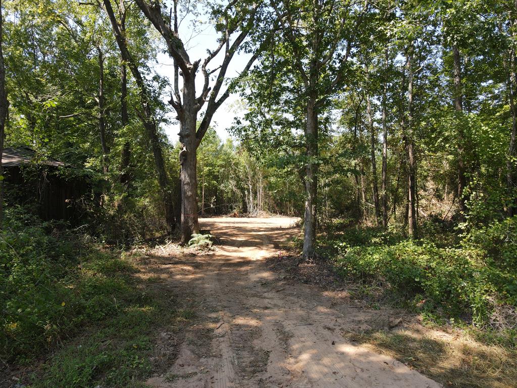 71039 Property Photo 8